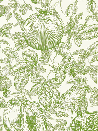 Papier peint Melograno Harlequin John Lewis - Acheter en ligne chez McGrocer