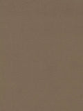 Morris & Co. Wardle Velvet Furnishing Fabric