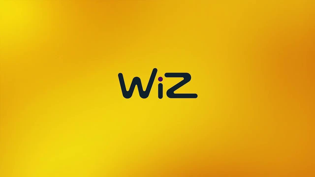 WiZ smart outdoor festoon lights LED colour changing (British brand)