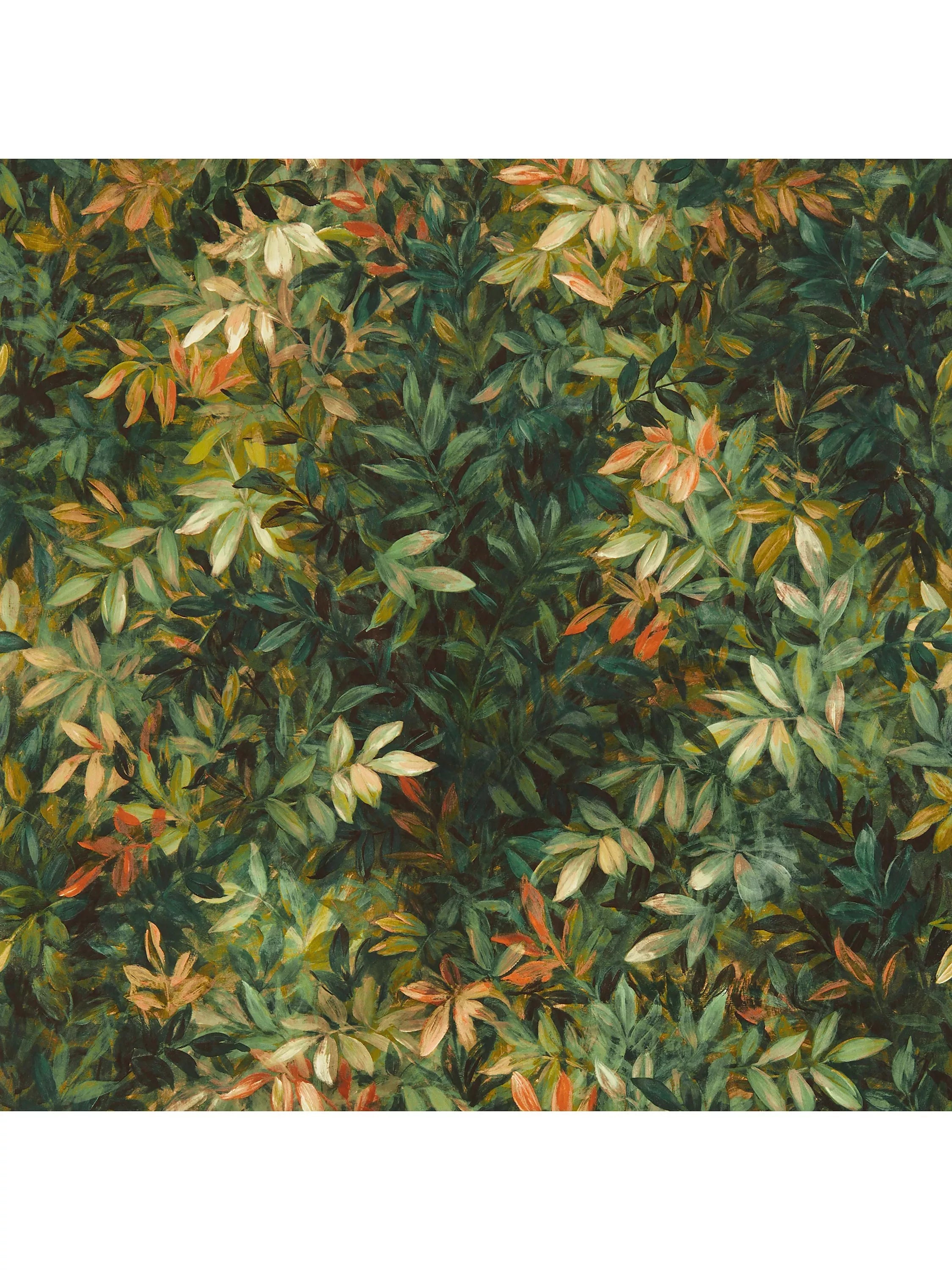 Clarke & Clarke Congo Wallpaper 10m x 52cm