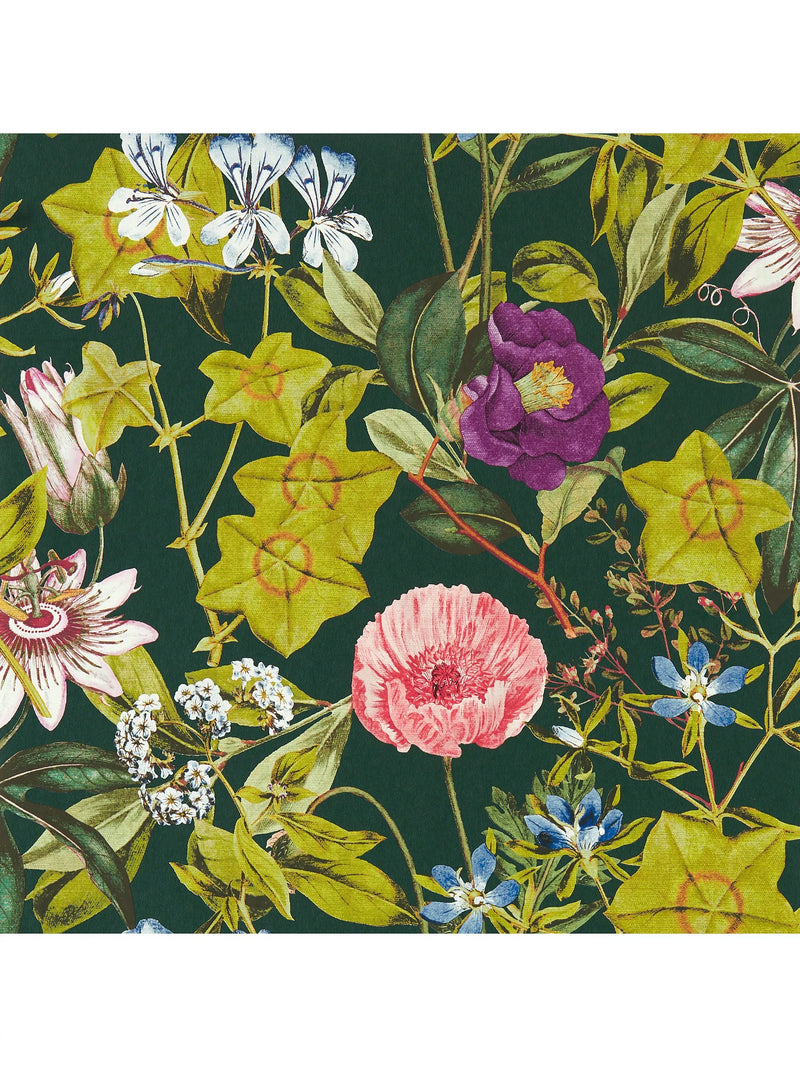 Clarke & Clarke Passiflora Wallpaper 10m x 52cm