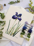 Search Press Kew Book of Embroidered Flowers hardback, UK version