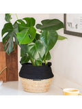 The Little Botanical Monstera Big Belly Basket H60 x W36 x D35 cm, imported from the UK