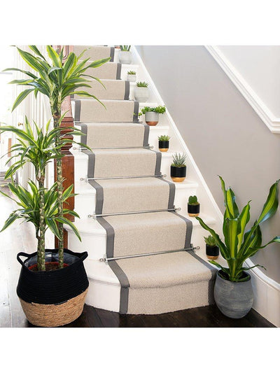 The Little Botanical Dracaena Stor grå potte Innendørs plante