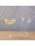 Anton Studio Designs champagne saucer Set of 2 250ml - British product