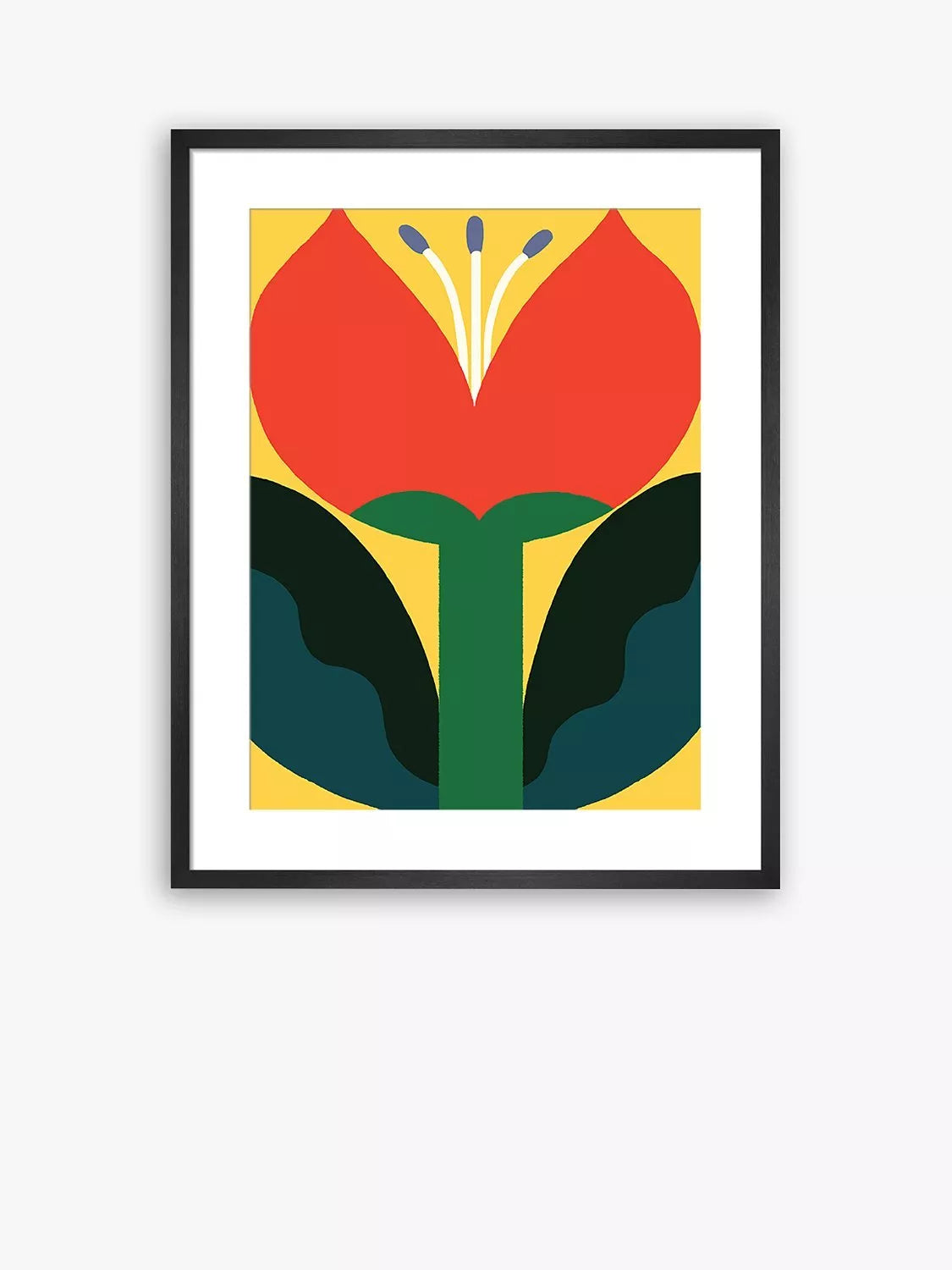 John Lewis framed print June Flower 80x60cm, UK version