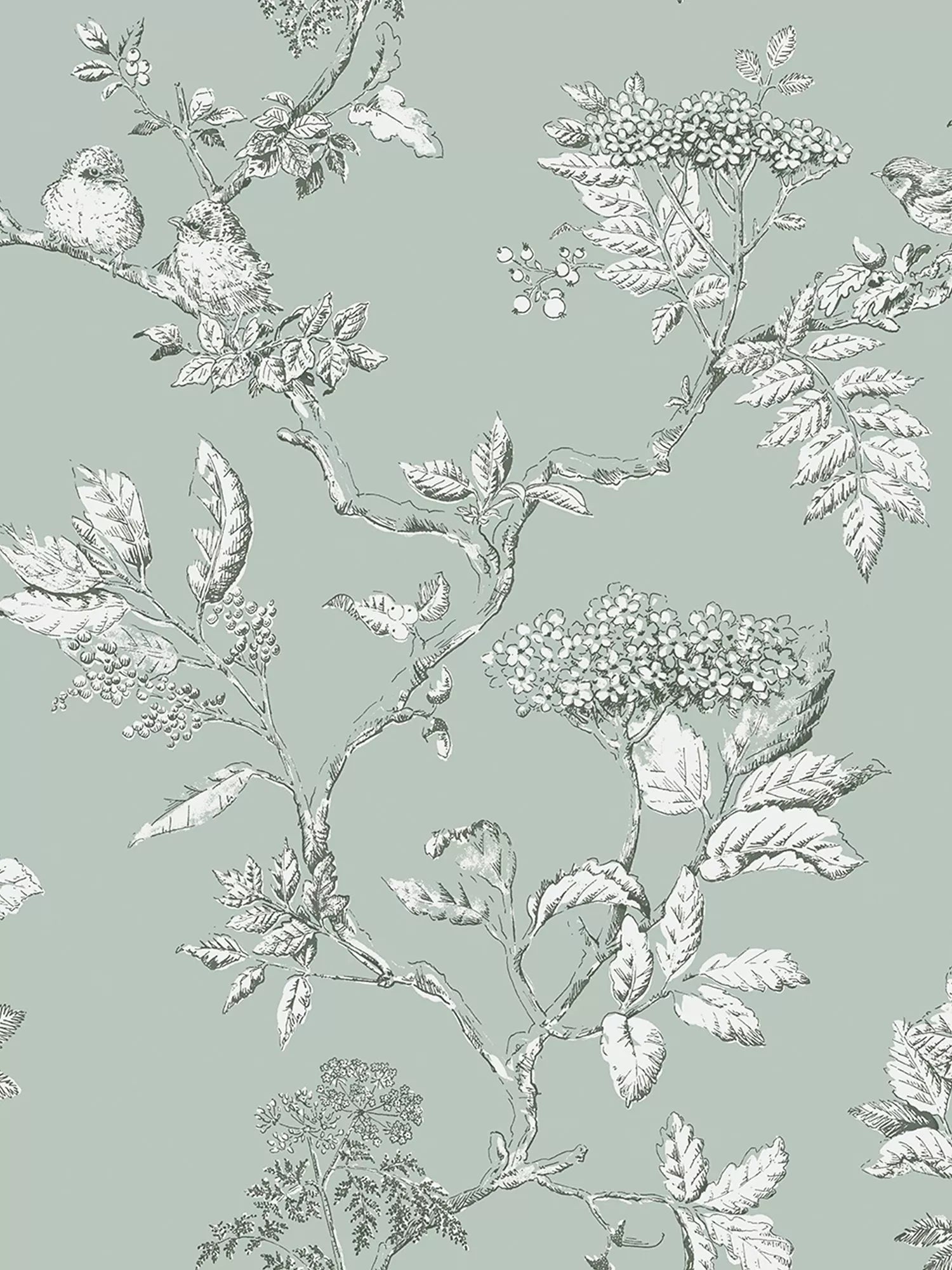 Laura Ashley Elderwood Wallpaper 10m x 52cm, UK version