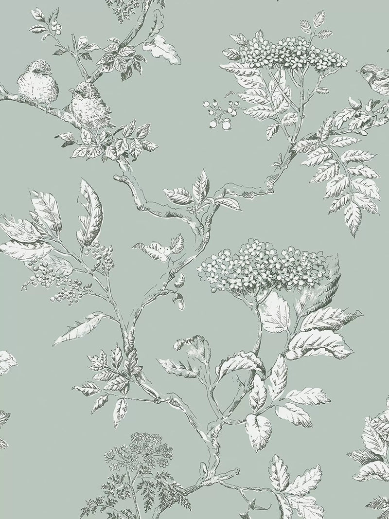 Laura Ashley Elderwood Wallpaper 10m x 52cm, UK version