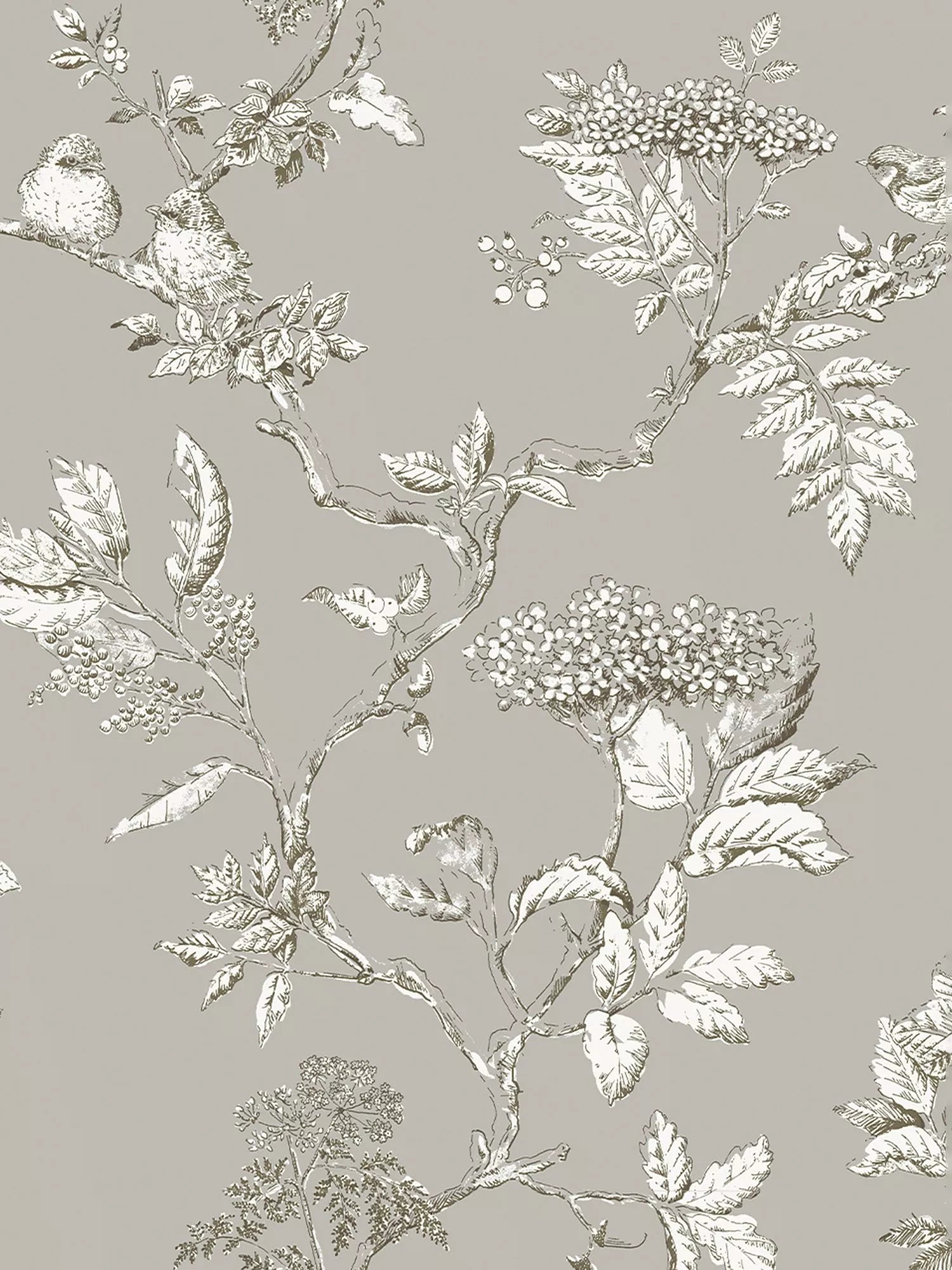 Laura Ashley Elderwood Wallpaper - 113348