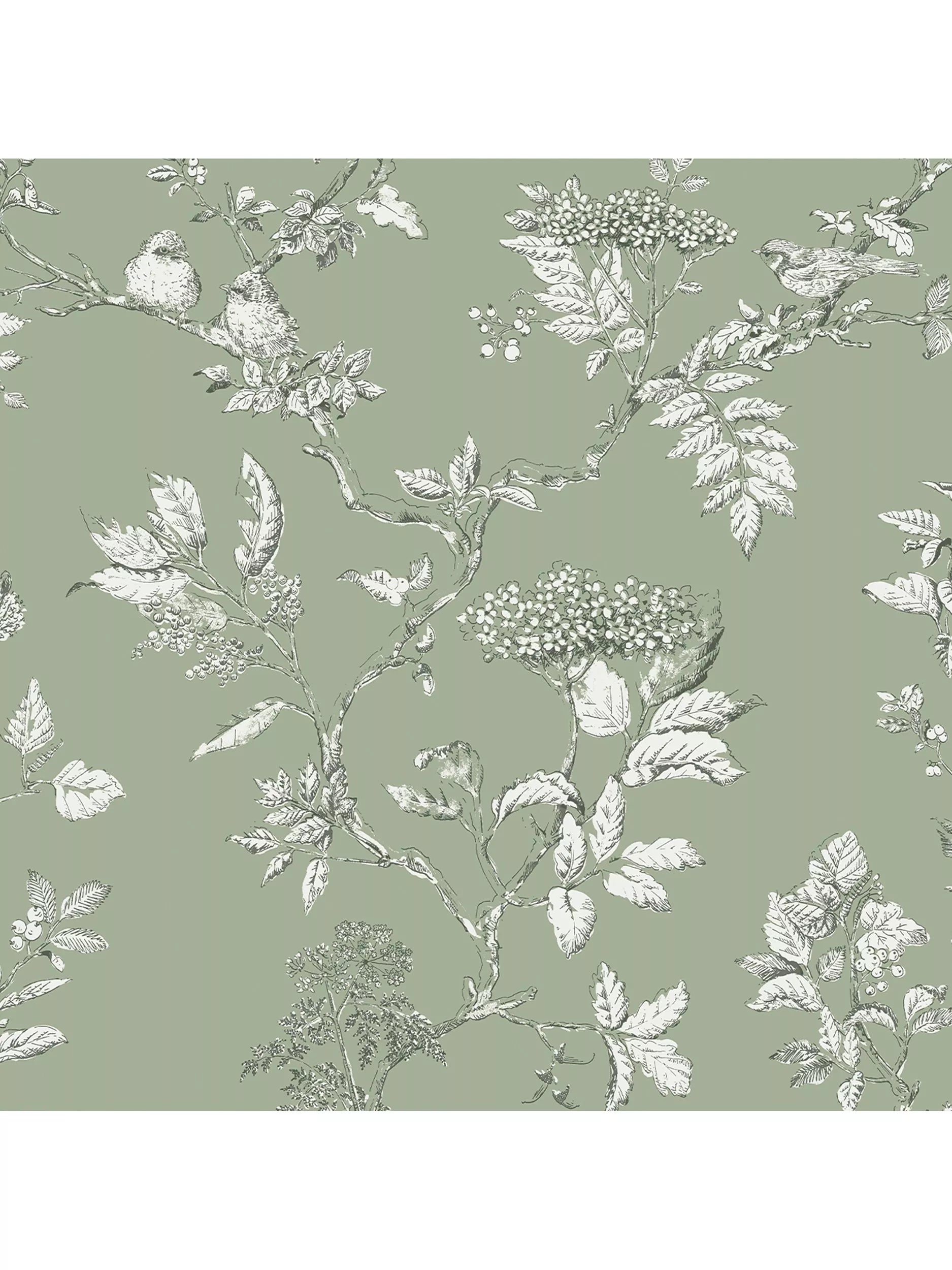 Laura Ashley Elderwood Wallpaper - 113346
