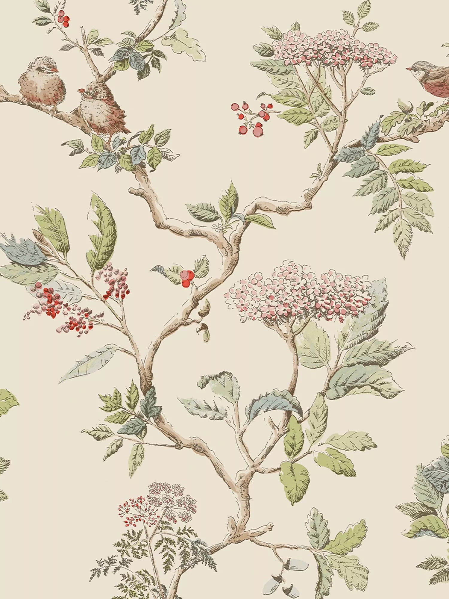 Laura Ashley Elderwood Wallpaper - 113345