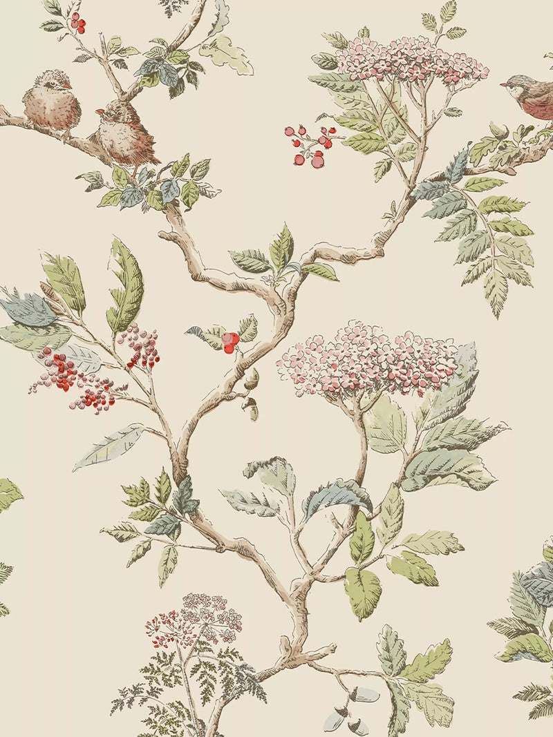 Laura Ashley Elderwood Wallpaper - 113345