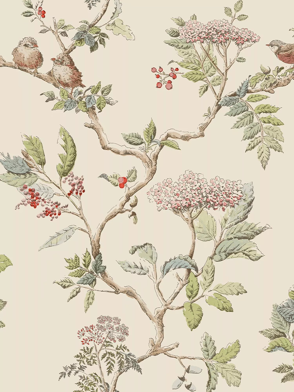 Laura Ashley Elderwood Wallpaper - 113345