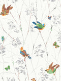 Aviary-Themed Nature Wallpaper with Bird and Butterfly Motifs
