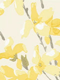 Laura Ashley Forsythia Wallpaper