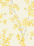 Laura Ashley Forsythia Wallpaper - 113350