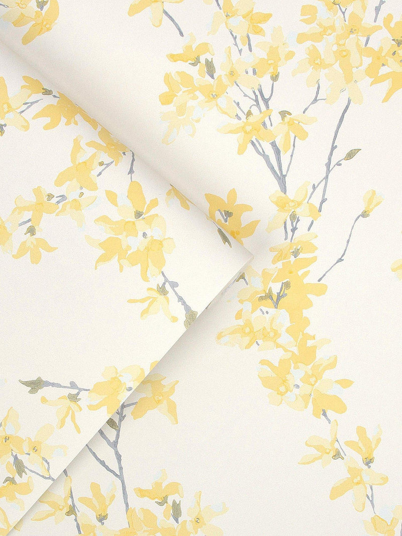 Laura Ashley Forsythia Wallpaper, UK version