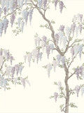 Laura Ashley Wisteria Mural, 113412