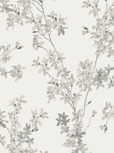 ورق جدران John Lewis Laura Ashley Forsythia Floral - اشترِ عبر الإنترنت من McGrocer