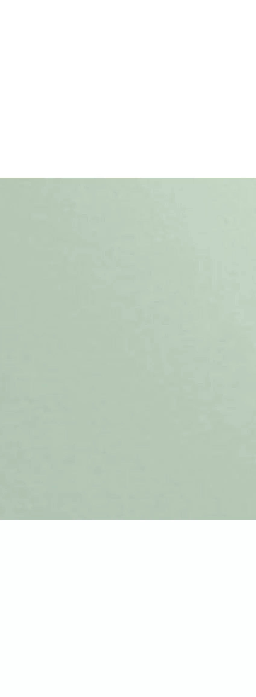 My Carry Potty Toilet Training Seat - Pastel Green