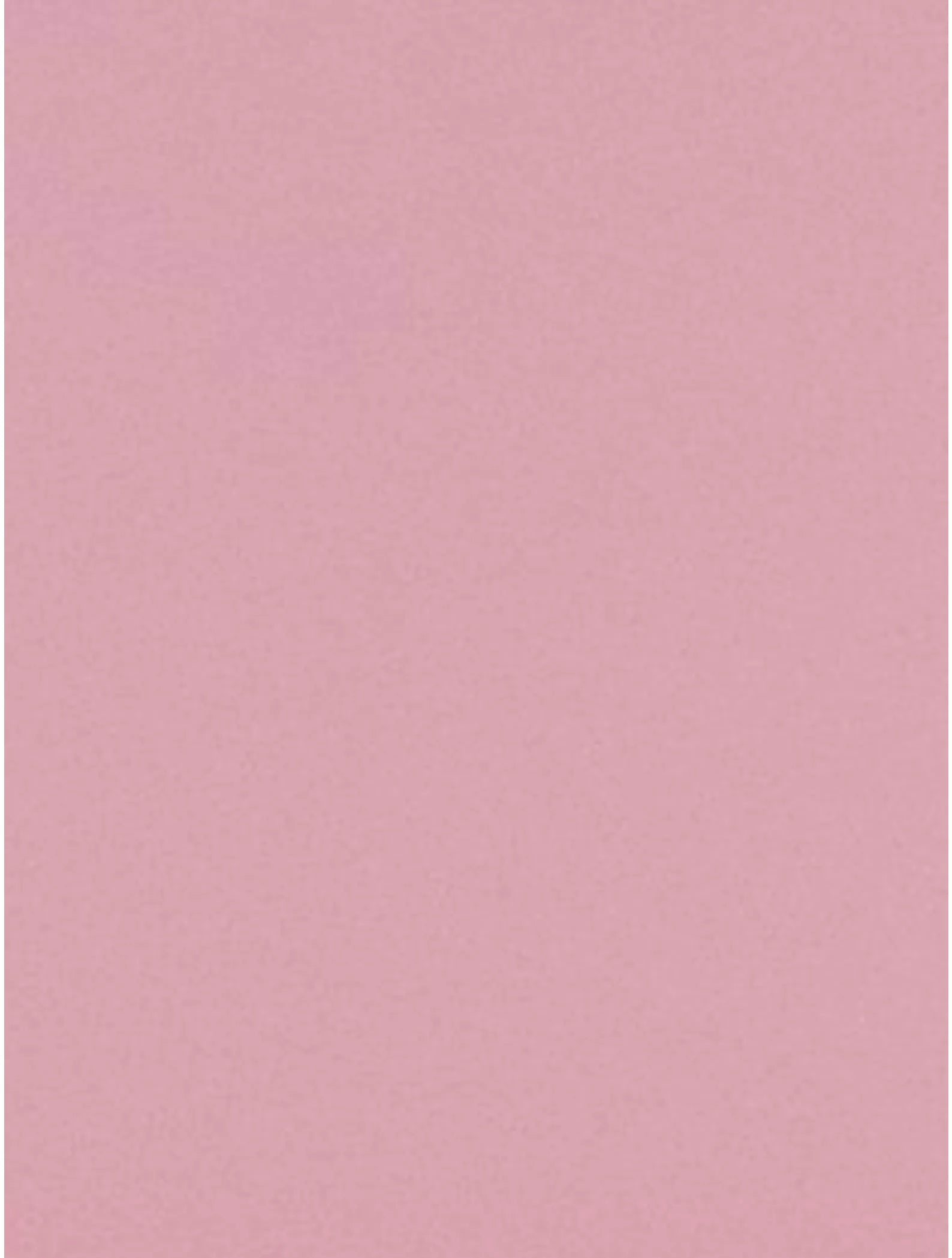 Georg Jensen Miniphant Stainless Steel Money Box - Strawberry Blush