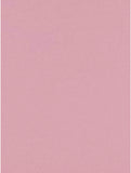 Georg Jensen Miniphant Stainless Steel Money Box - Strawberry Blush