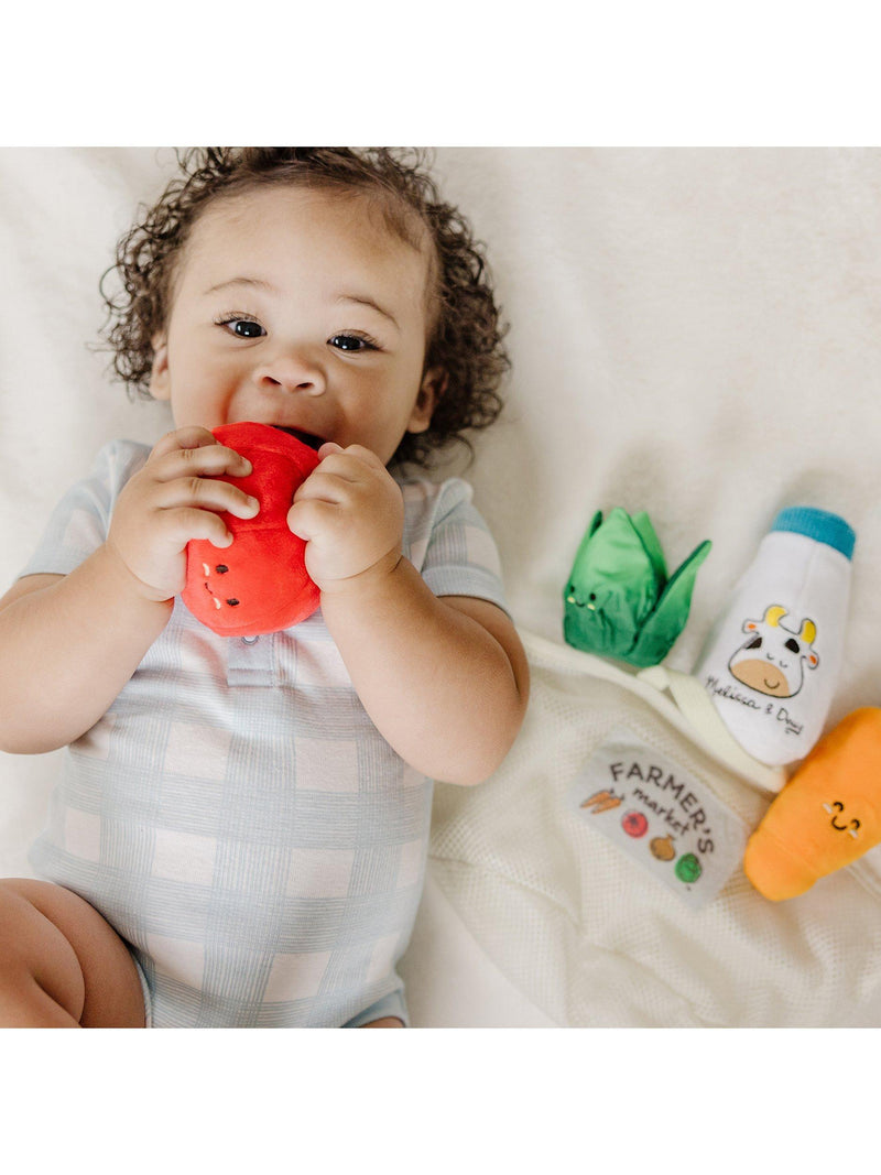 Melissa & Doug market basket infant toy - British product