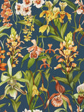 Botanical Wild Orchids Wallpaper with Vibrant Colors and Contrast Ground