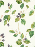 Sanderson Rubus wallpaper (British brand)