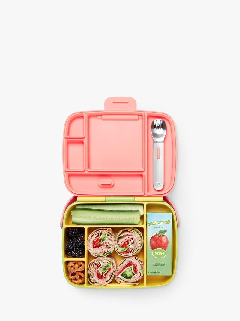 Munchkin kids bento box assorted, UK version