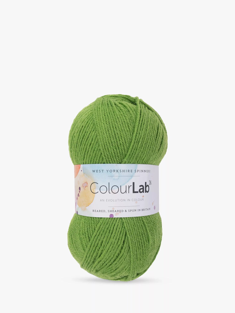 West Yorkshire Spinners ColourLab DK Knitting Yarn 100g