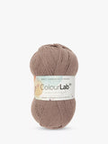 West Yorkshire Spinners ColourLab DK Knitting Yarn 100g