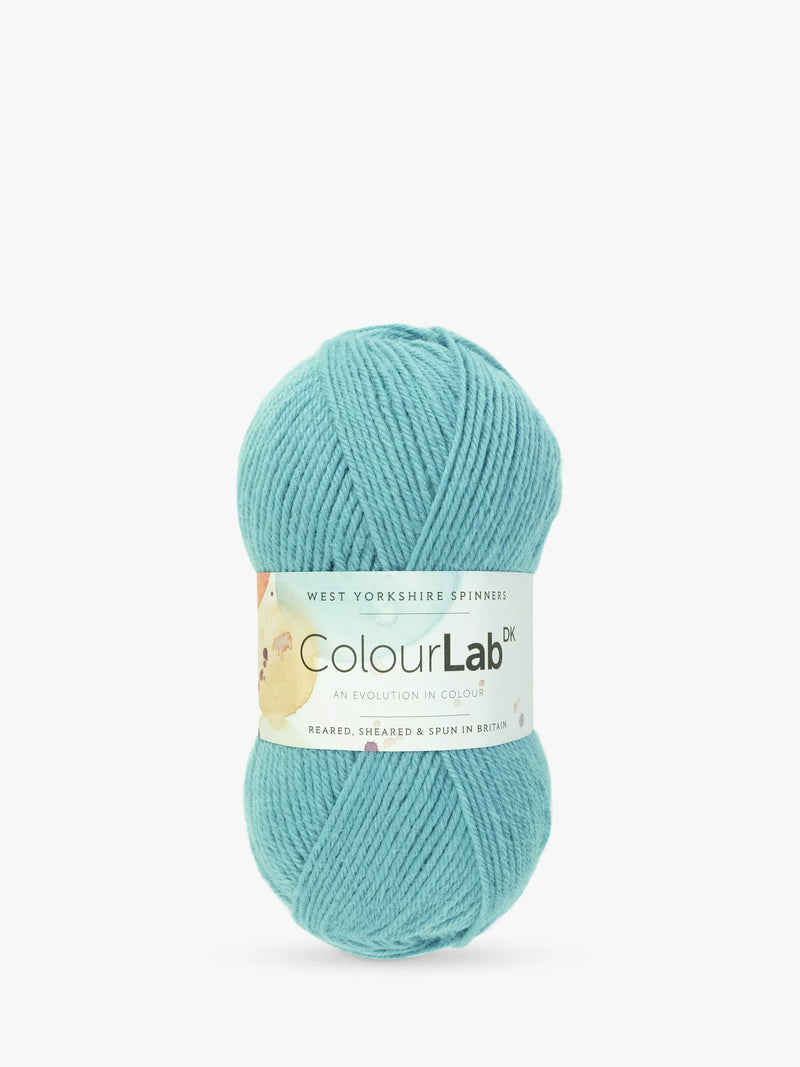 West Yorkshire Spinners ColourLab DK Knitting Yarn 100g