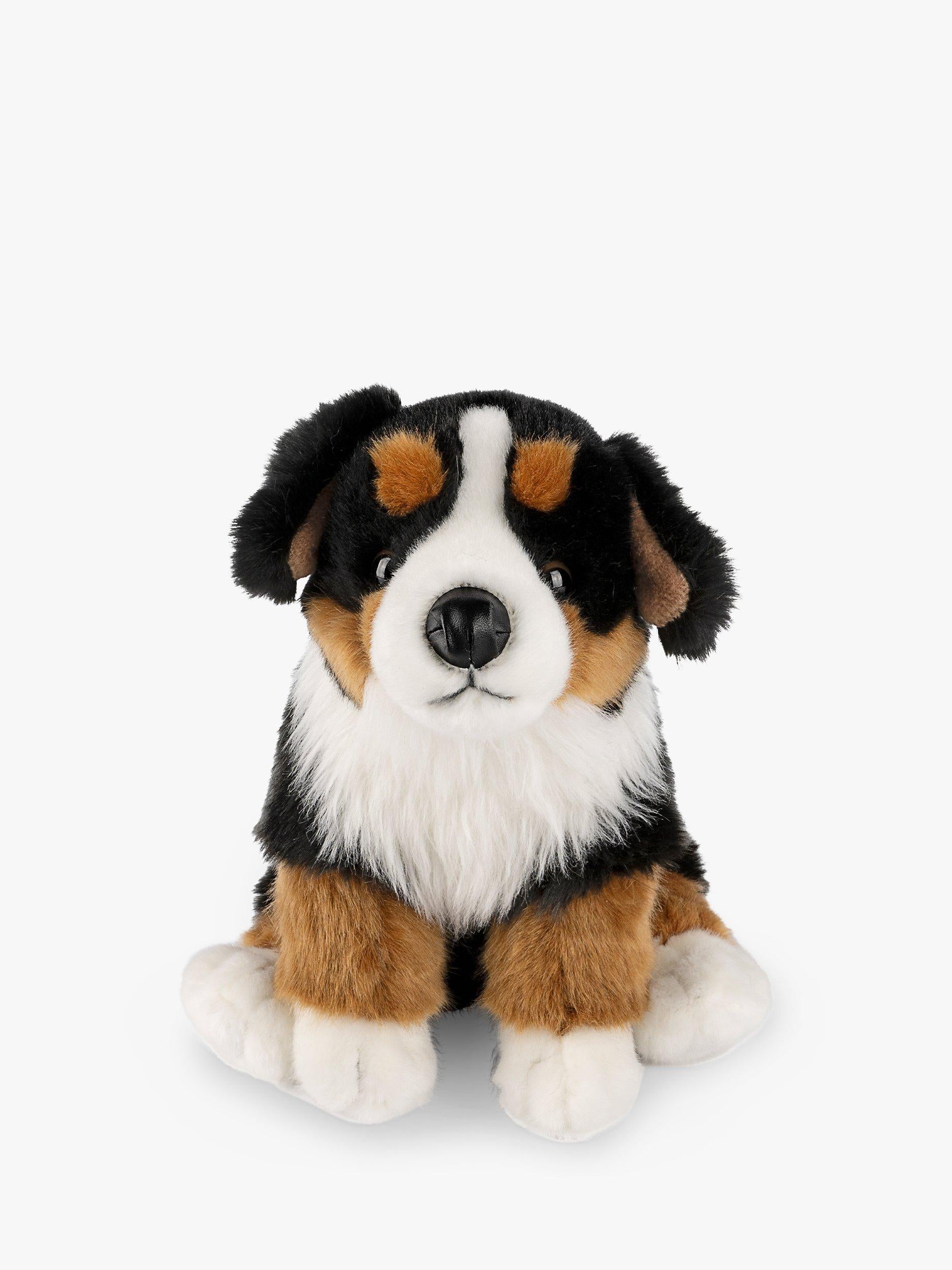 Bernese Mountain Dog Plush Soft Toy with Fact File
