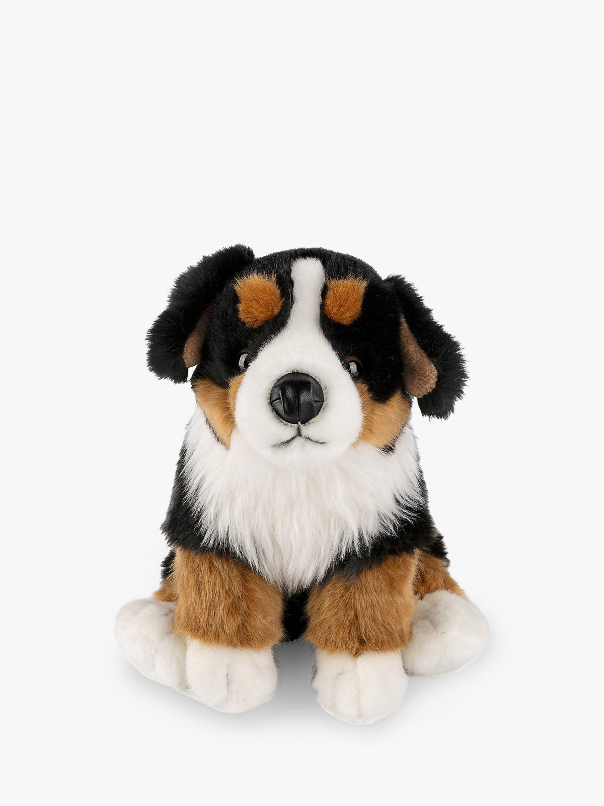 Bernese Mountain Dog Plush Soft Toy with Fact File