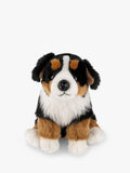 Bernese Mountain Dog Plush Soft Toy with Fact File
