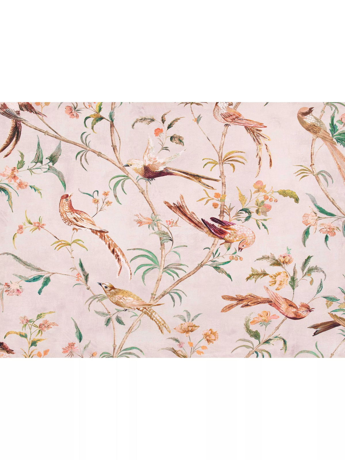 Romo Pluma fabric tropical bird design linen blend, imported from the UK