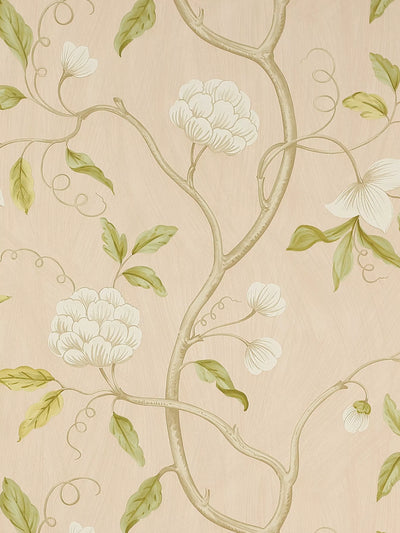 Colefax und Fowler Schneebaum Tapete
