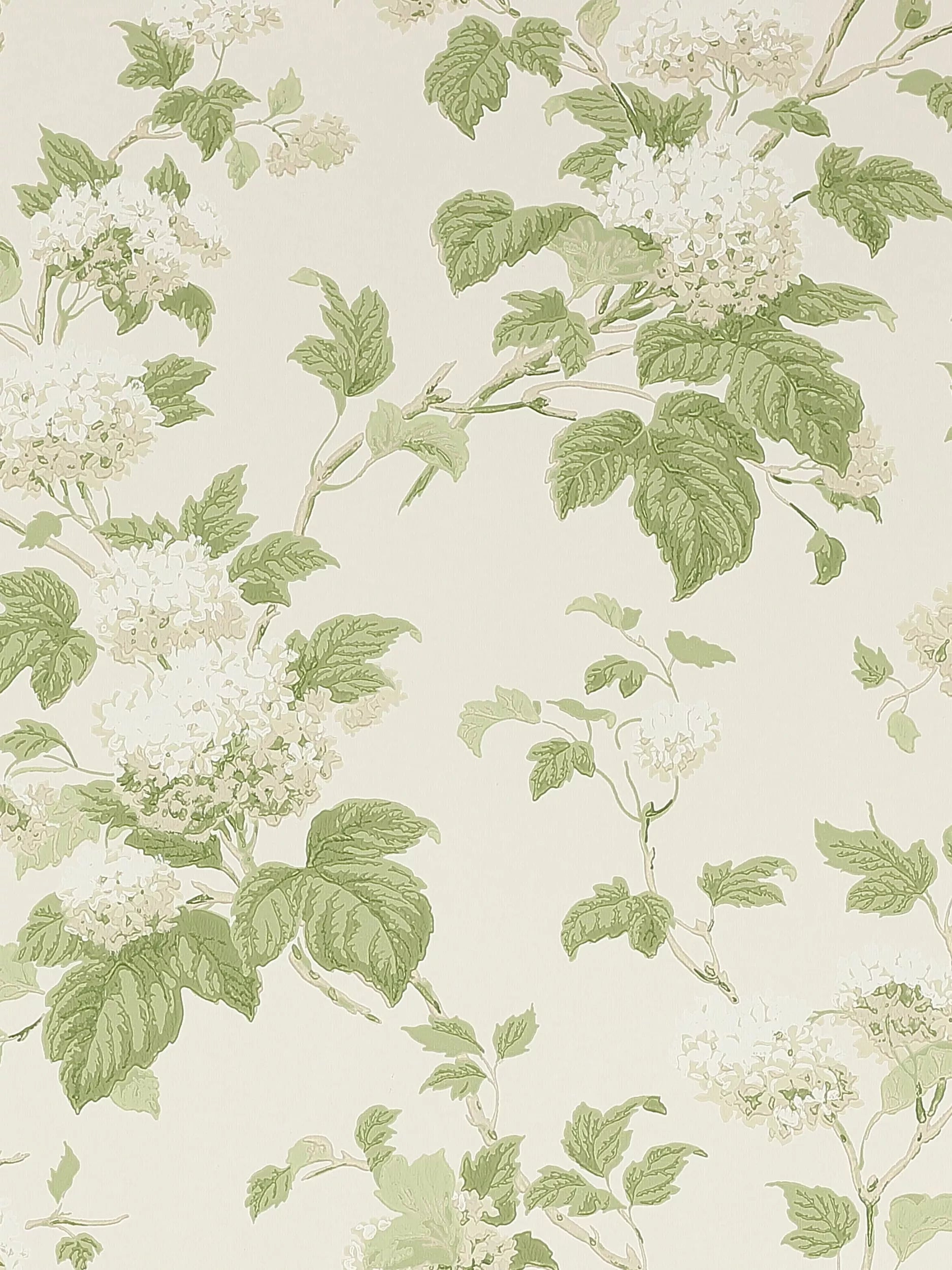 Colefax and Fowler Chantilly floral wallpaper 10m x 52cm - British product