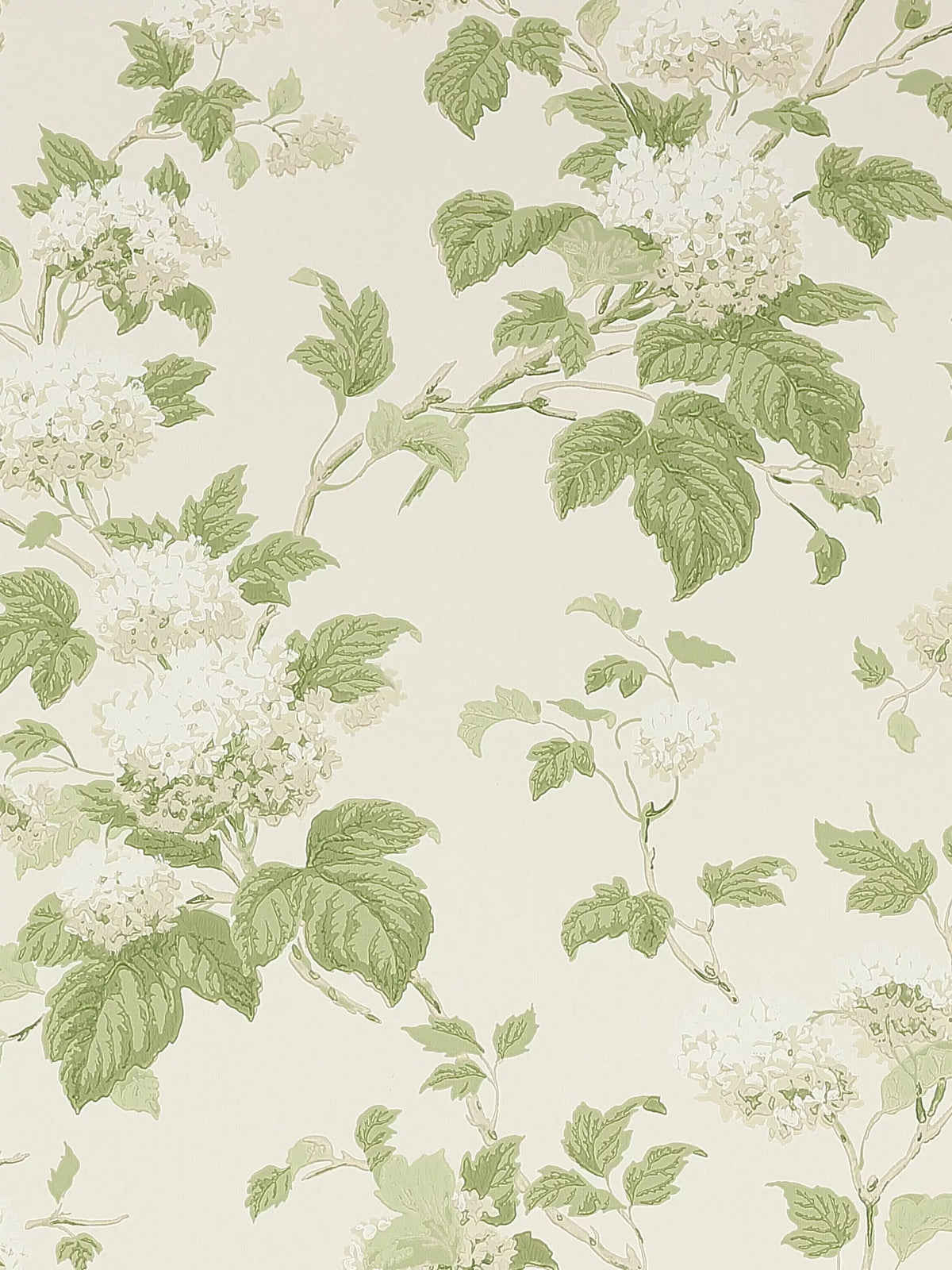 Colefax and Fowler Chantilly floral wallpaper 10m x 52cm - British product