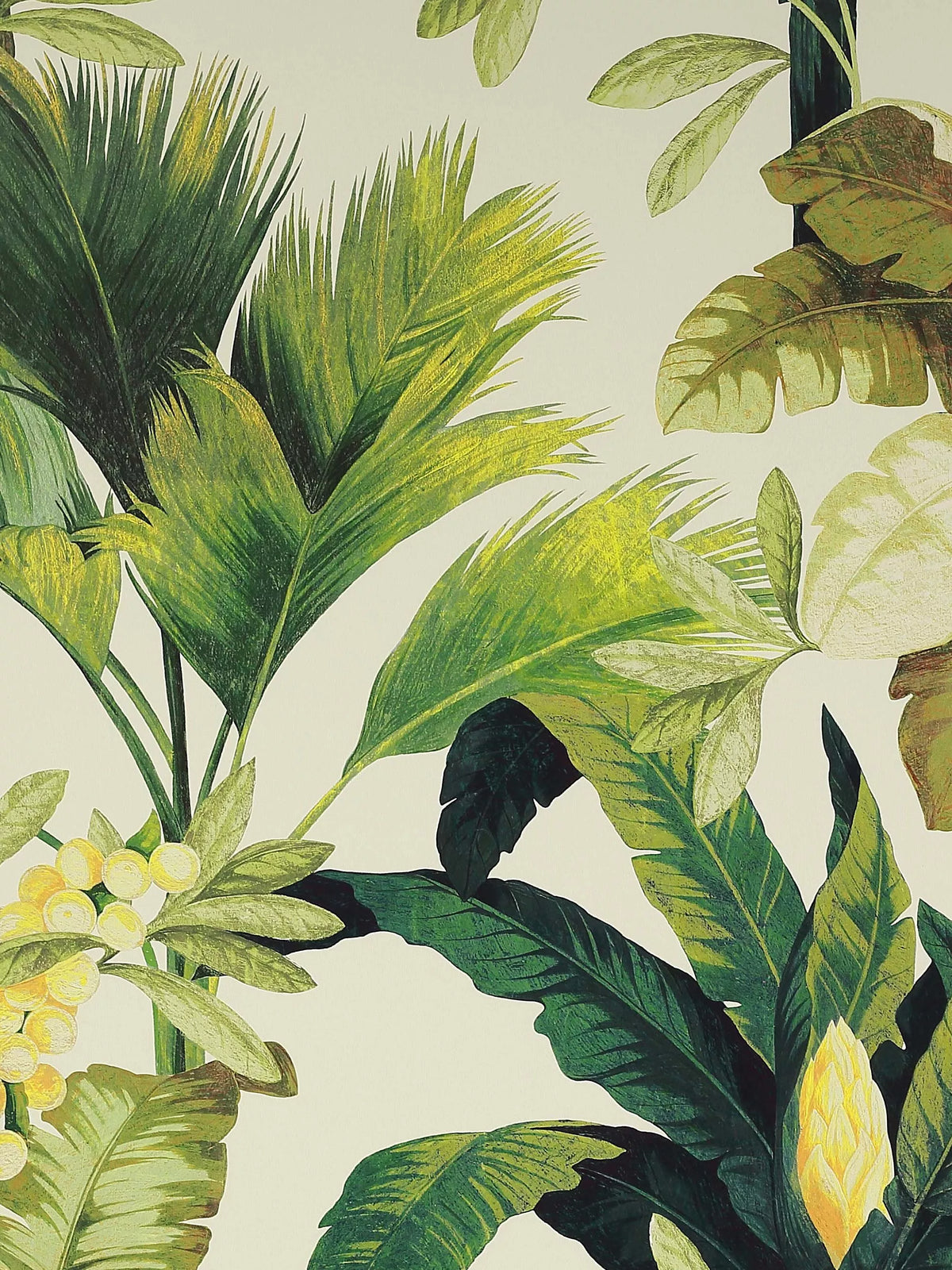 Manuel Canovas Salengro wallpaper 10m x 68.5cm - British product