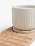 John Lewis bone china desk planter wood board, imported from the UK