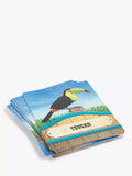 John Lewis animal guessing game, UK version