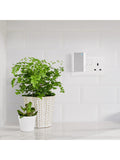 Ring Chime 2nd Gen smart doorbell chime (British brand)