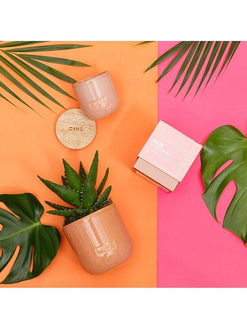 The Little Botanical Pink Cashmere Candle Gift Set, imported from the UK