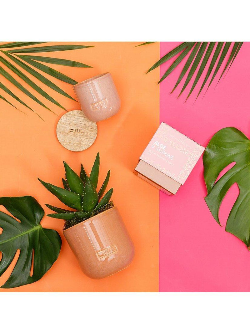 The Little Botanical Pink Cashmere Candle Gift Set, imported from the UK