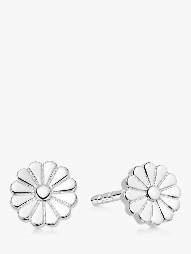 Daisy London Flower Bloom Stud Earrings