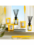Acqua di Parma Grazie scented room diffuser with natural rattan reeds, 180ml - British product