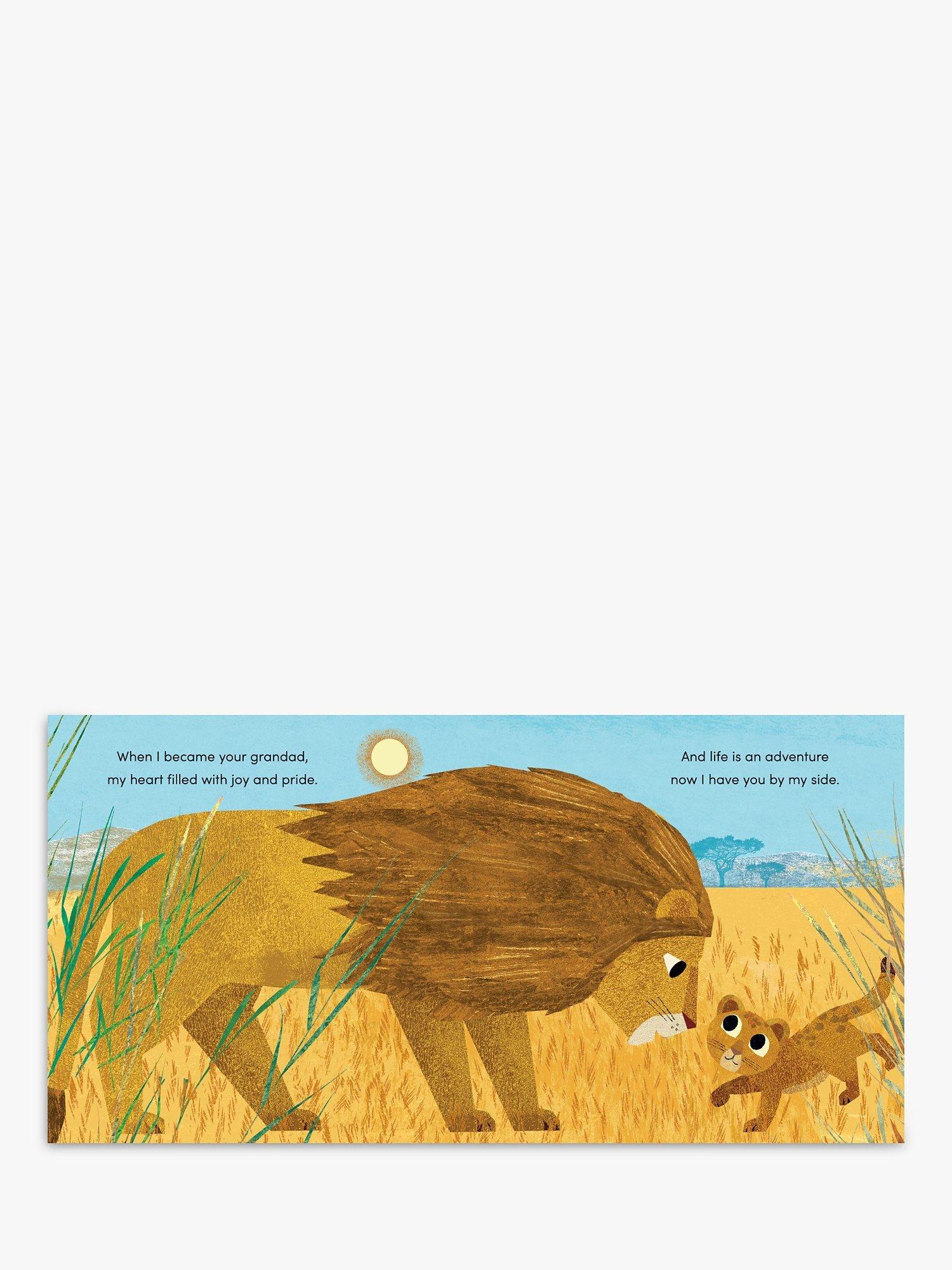 Nosy Crow When I Became Your Grandad picture book - British product
