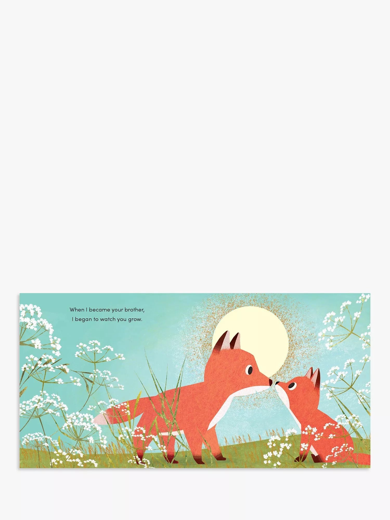 Kids' picture book about brotherly love with gold foil pages (British brand)